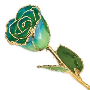 Lacquer Dipped 24k Gold Trim Peridot & Navy Real Rose